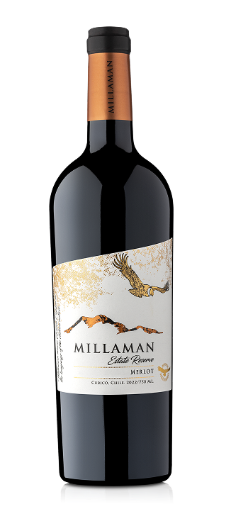 Vino Merlot