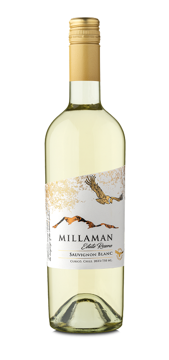 Vino Sauvignon Blanc